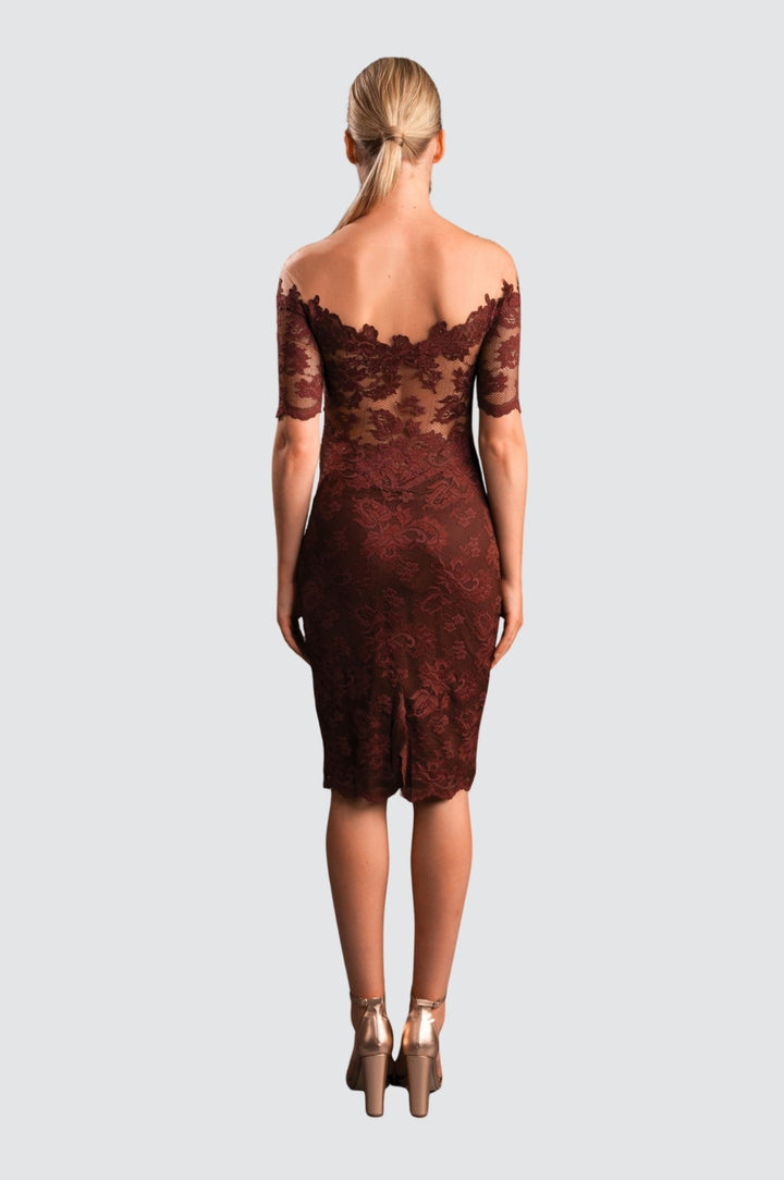 Off-Shoulder Lace Dress with Illusion Tulle