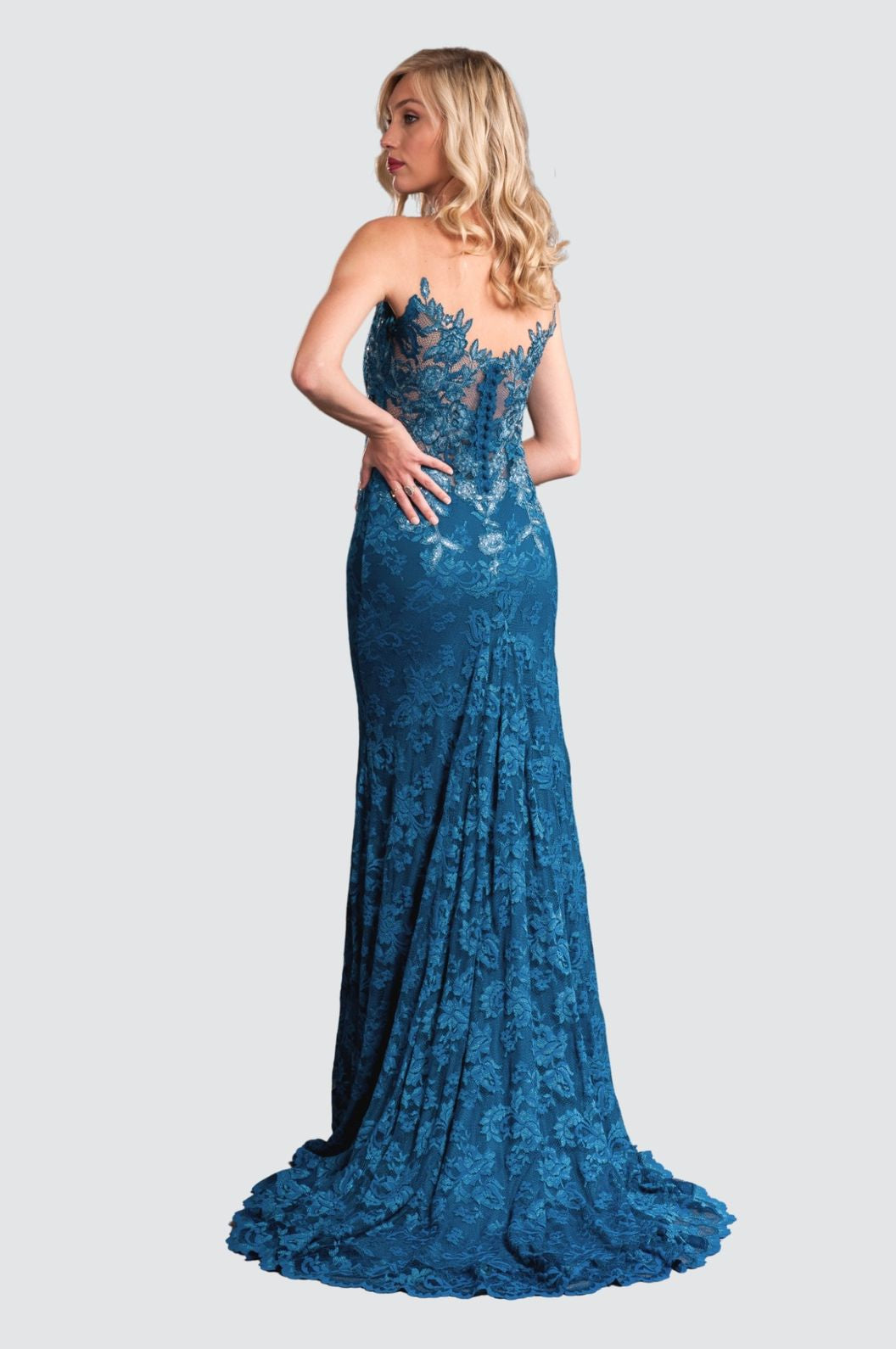 Elegant Lace Gown with Illusion Neckline
