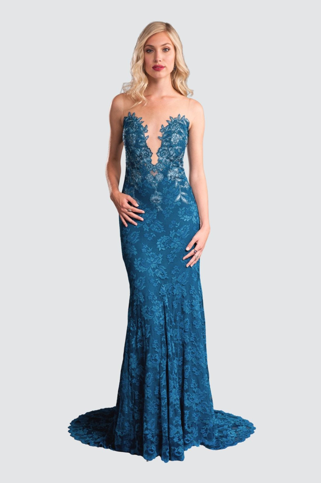 Elegant Lace Gown with Illusion Neckline