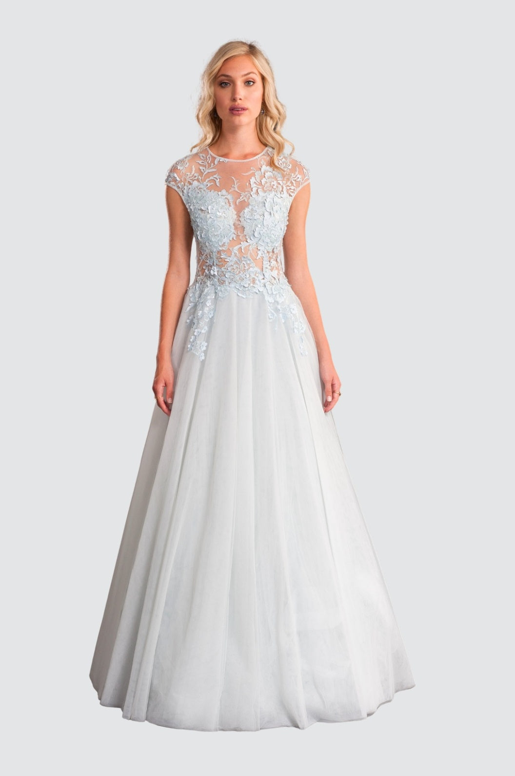 Snowflake Embroidery & Soft Tulle Gown