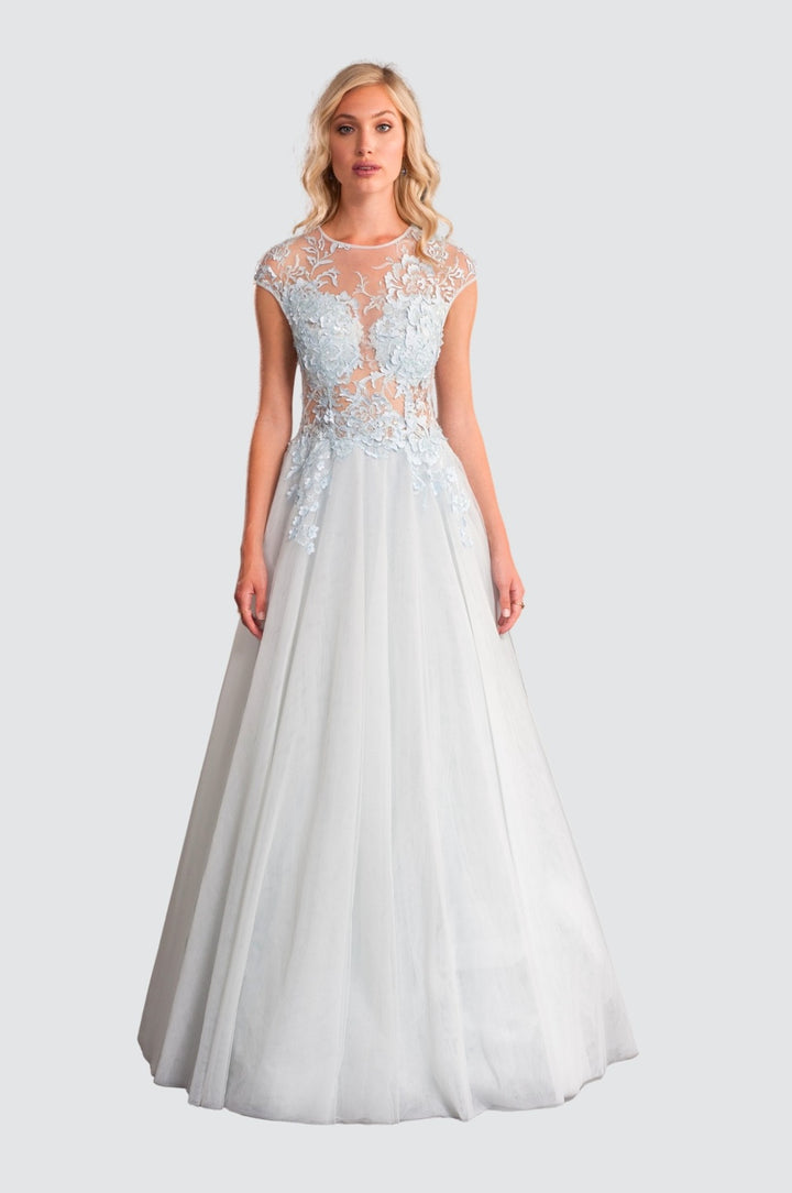 Snowflake Embroidery & Soft Tulle Gown