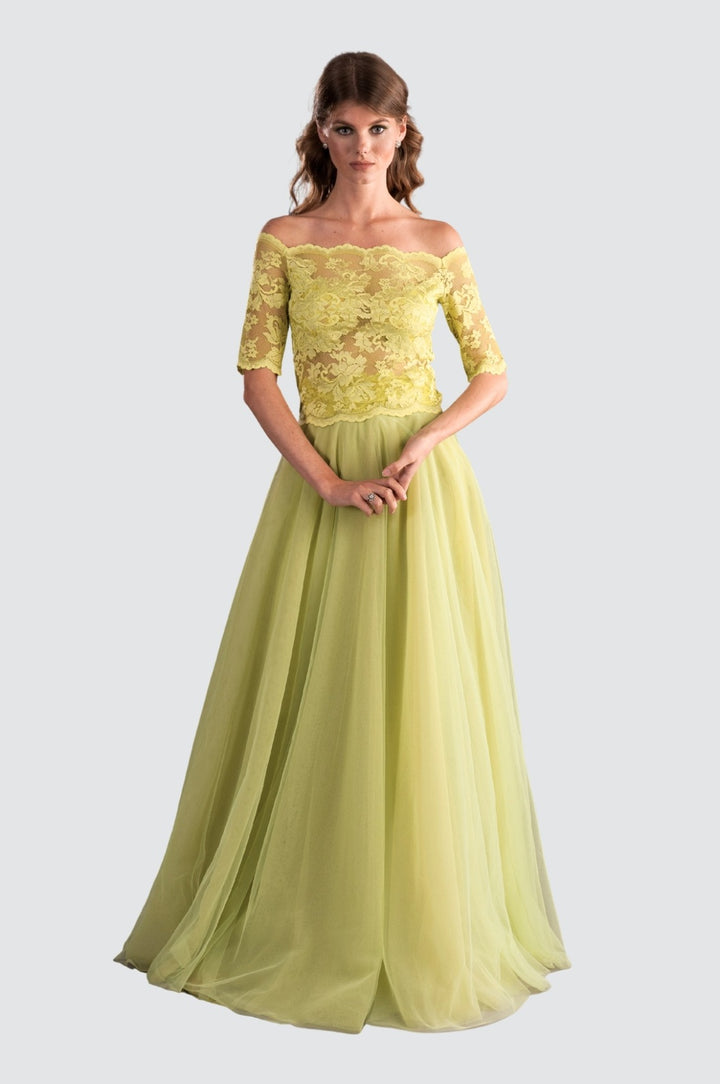 Lace Top & Tulle Skirt Matching Set