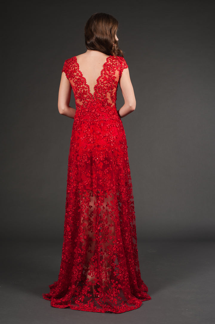 Deep V-Neckline Red Gown-1