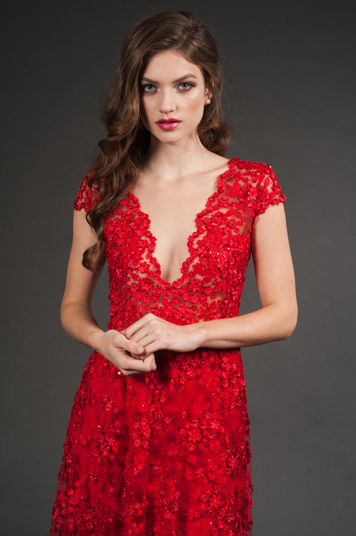 Deep V-Neckline Red Gown-3