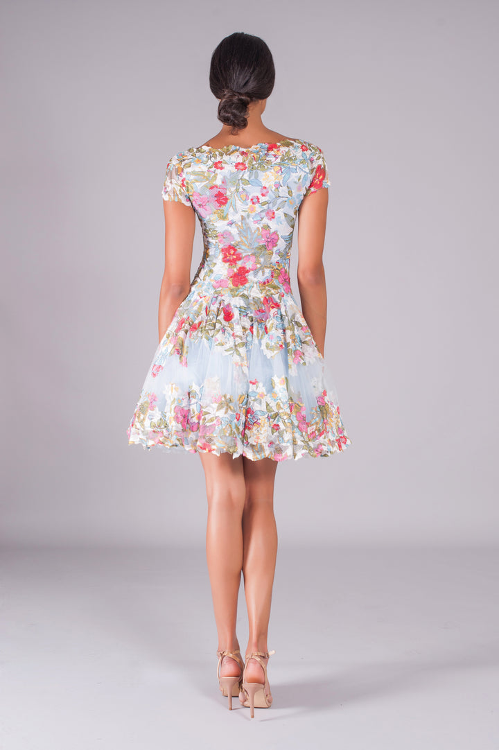 Floral Lace Skater Dress