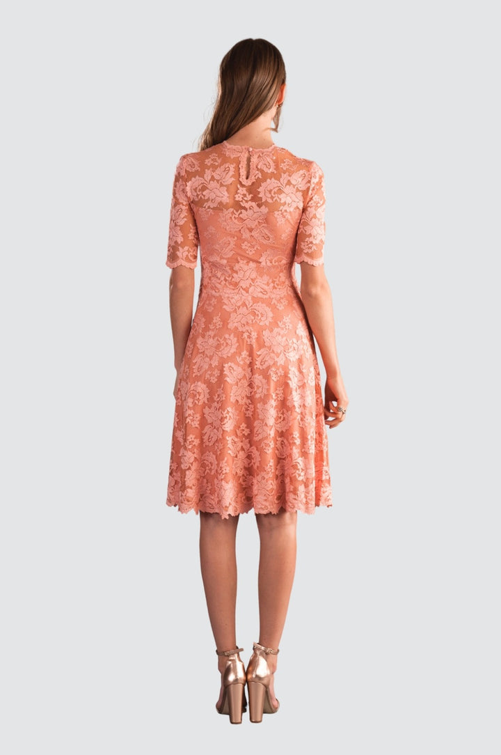 Short Sleeve Lace Dress