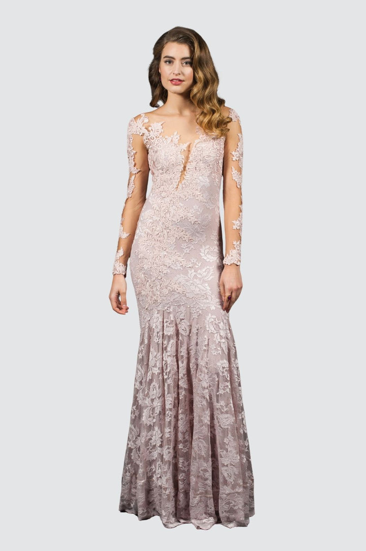Lace Mermaid Gown