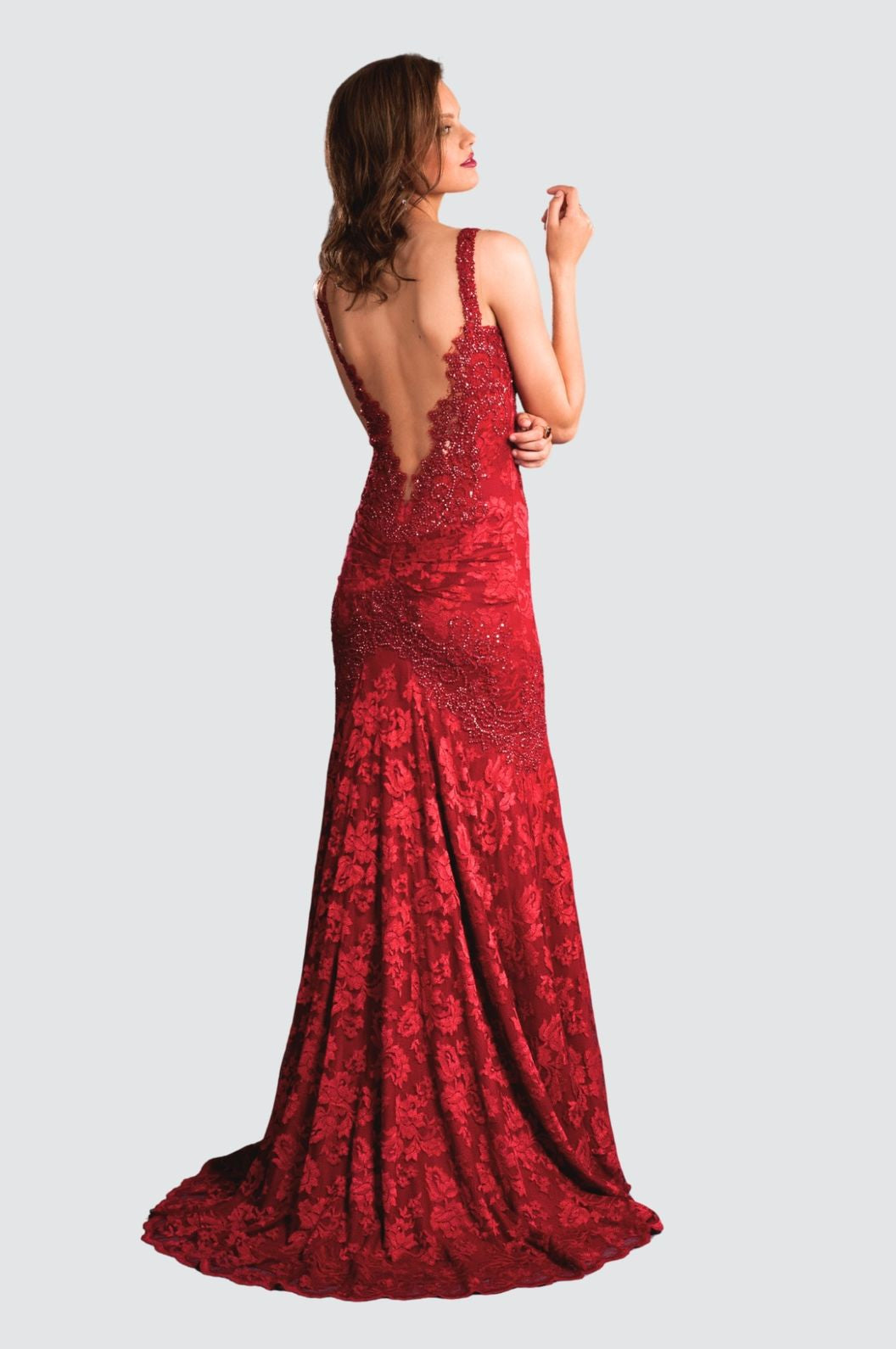 Elegant Lace Embellished Gown