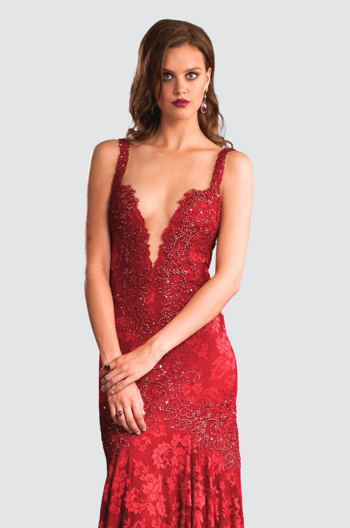 Elegant Lace Embellished Gown