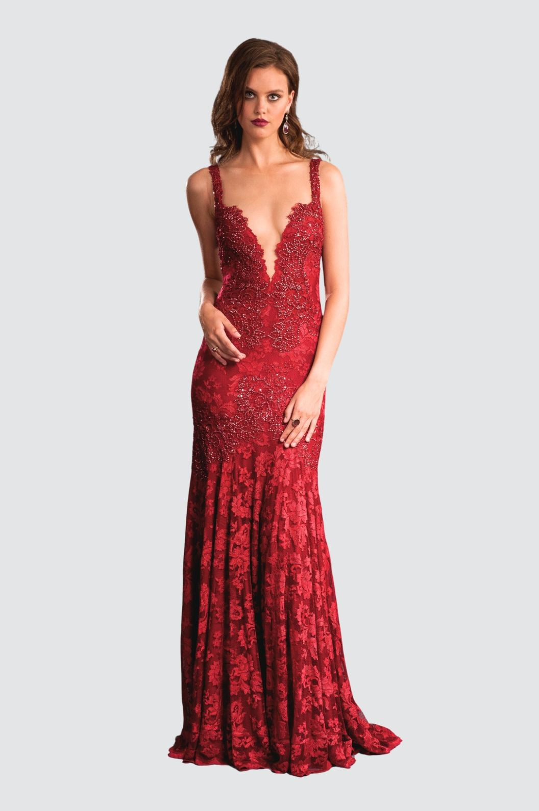 Elegant Lace Embellished Gown