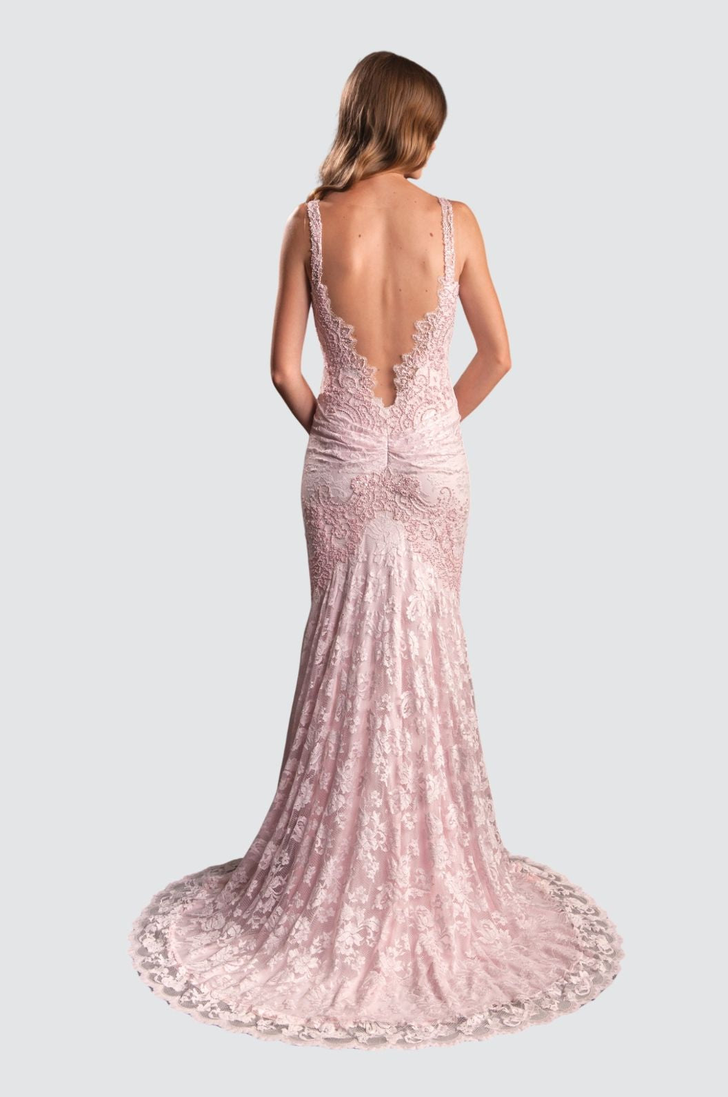 Elegant Lace Embellished Gown