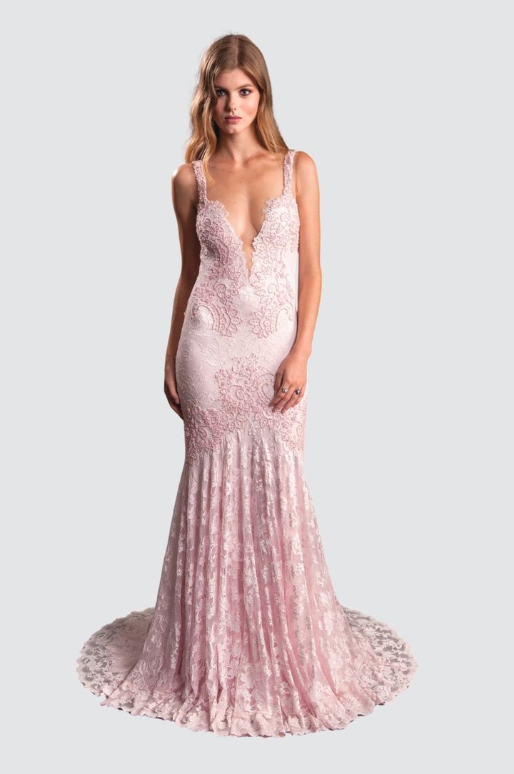 Elegant Lace Embellished Gown