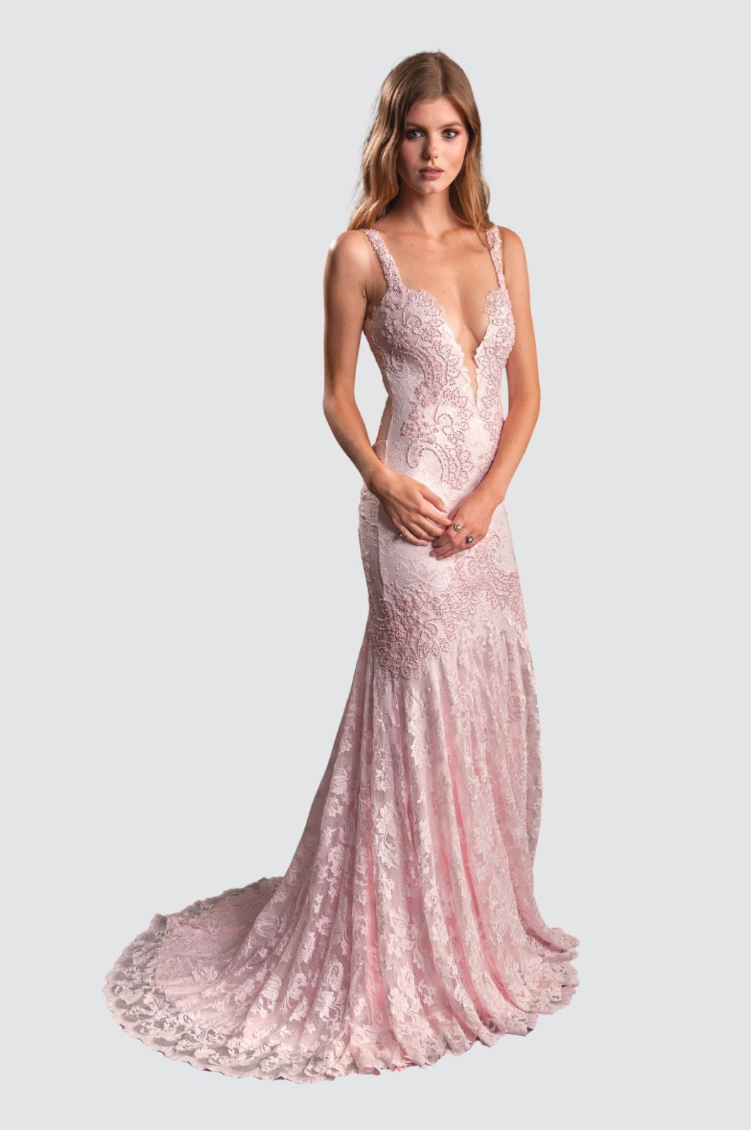 Elegant Lace Embellished Gown