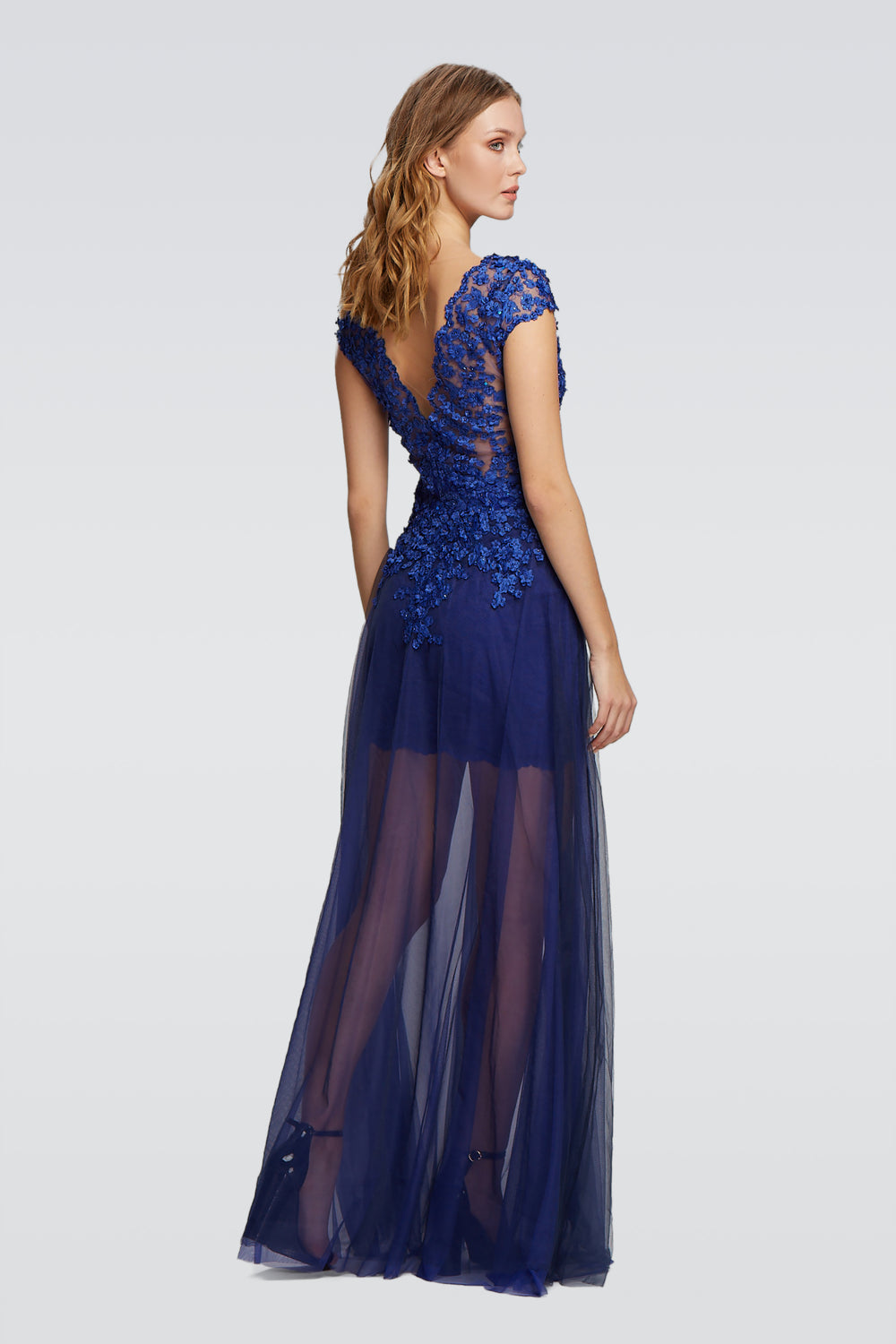 Sheer Layered Elegant Dress-1