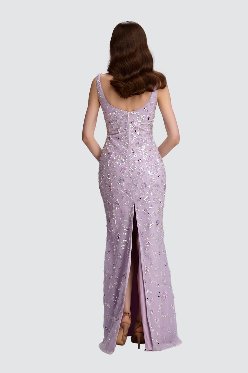 Radiance Embellished Gown-1