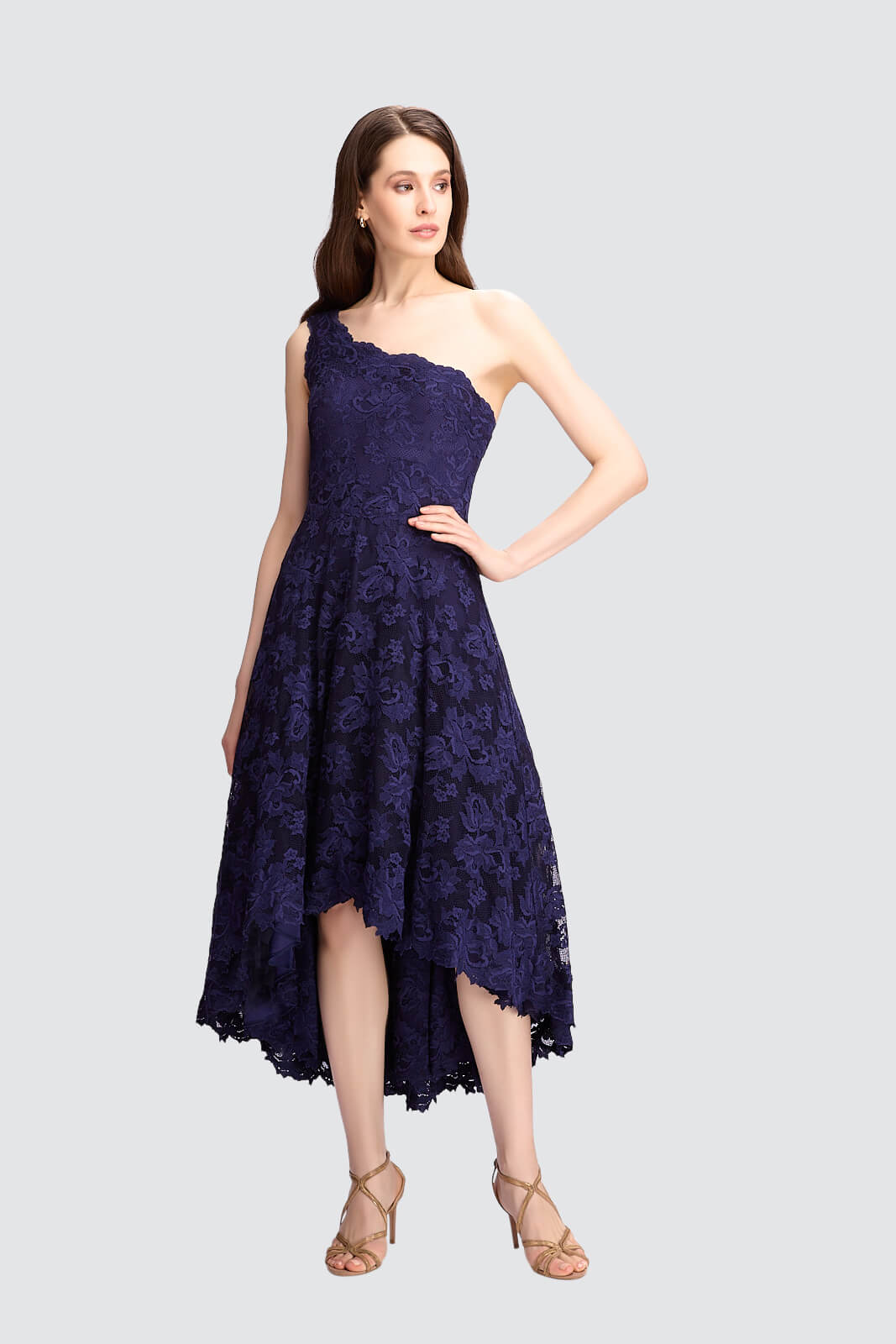 Elegance Asymmetrical Lace Dress-0