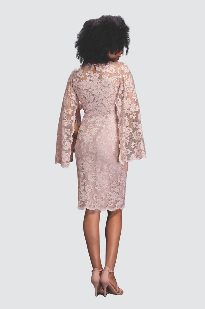 Lace Dress with Open Scallop Sleeves