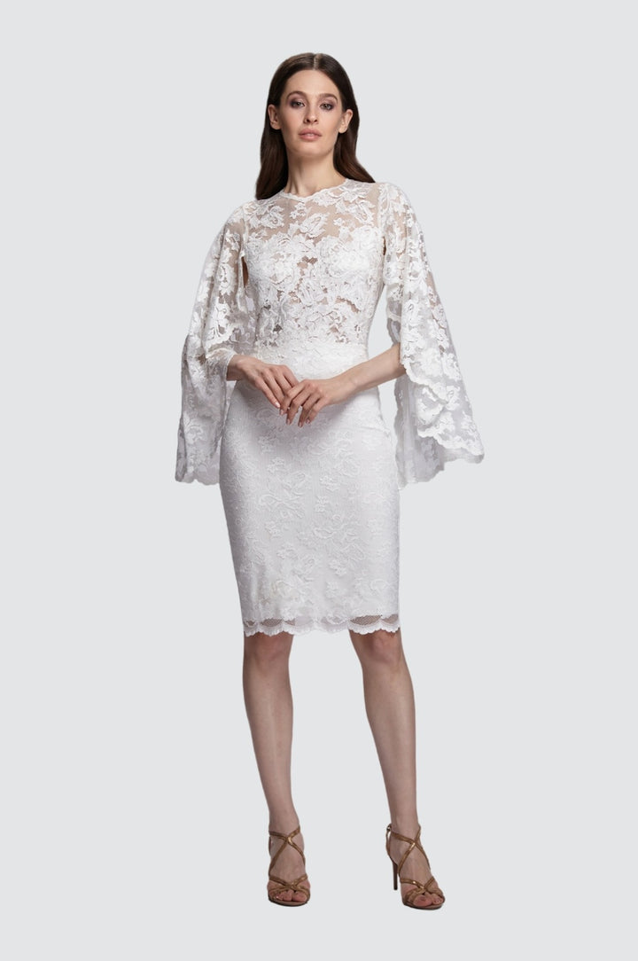 Lace Dress with Open Scallop Sleeves