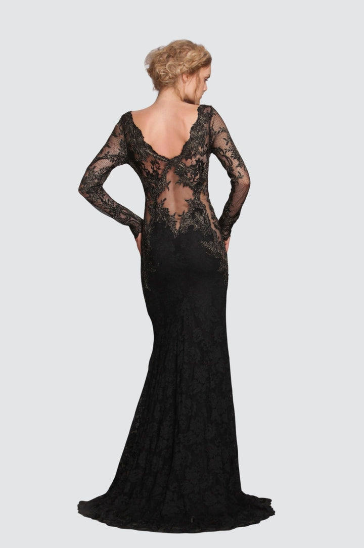 Sheer Mesh Torso Lace Gown