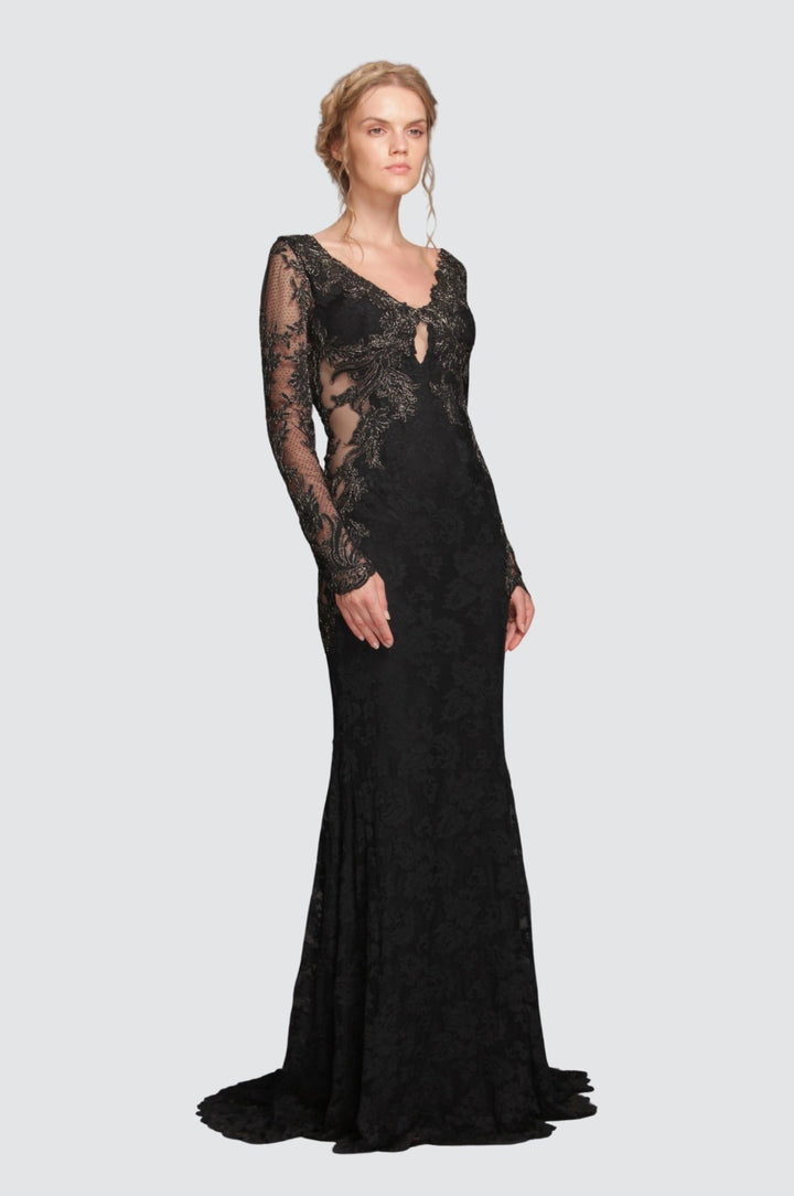 Sheer Mesh Torso Lace Gown