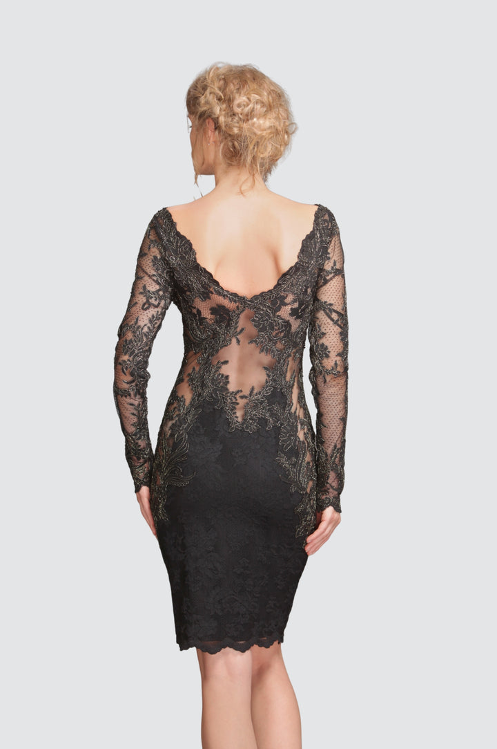 Sheer Mesh Torso Lace Cocktail Dress