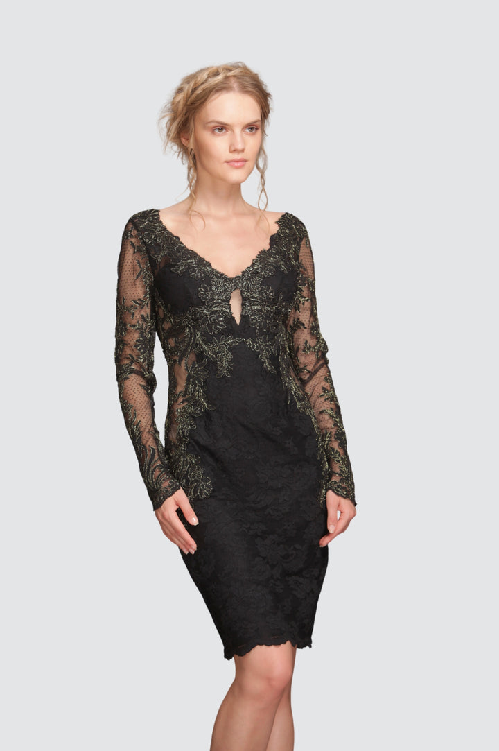 Sheer Mesh Torso Lace Cocktail Dress