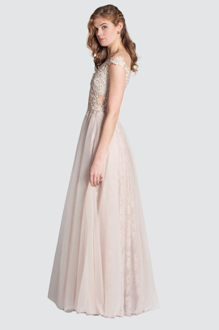 Lace & Tulle Gown with Embroidered Bodice