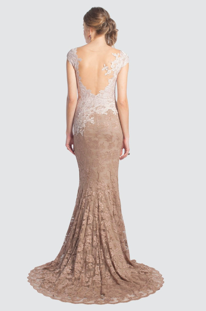 Lace Mermaid Gown with Sheer Bodice