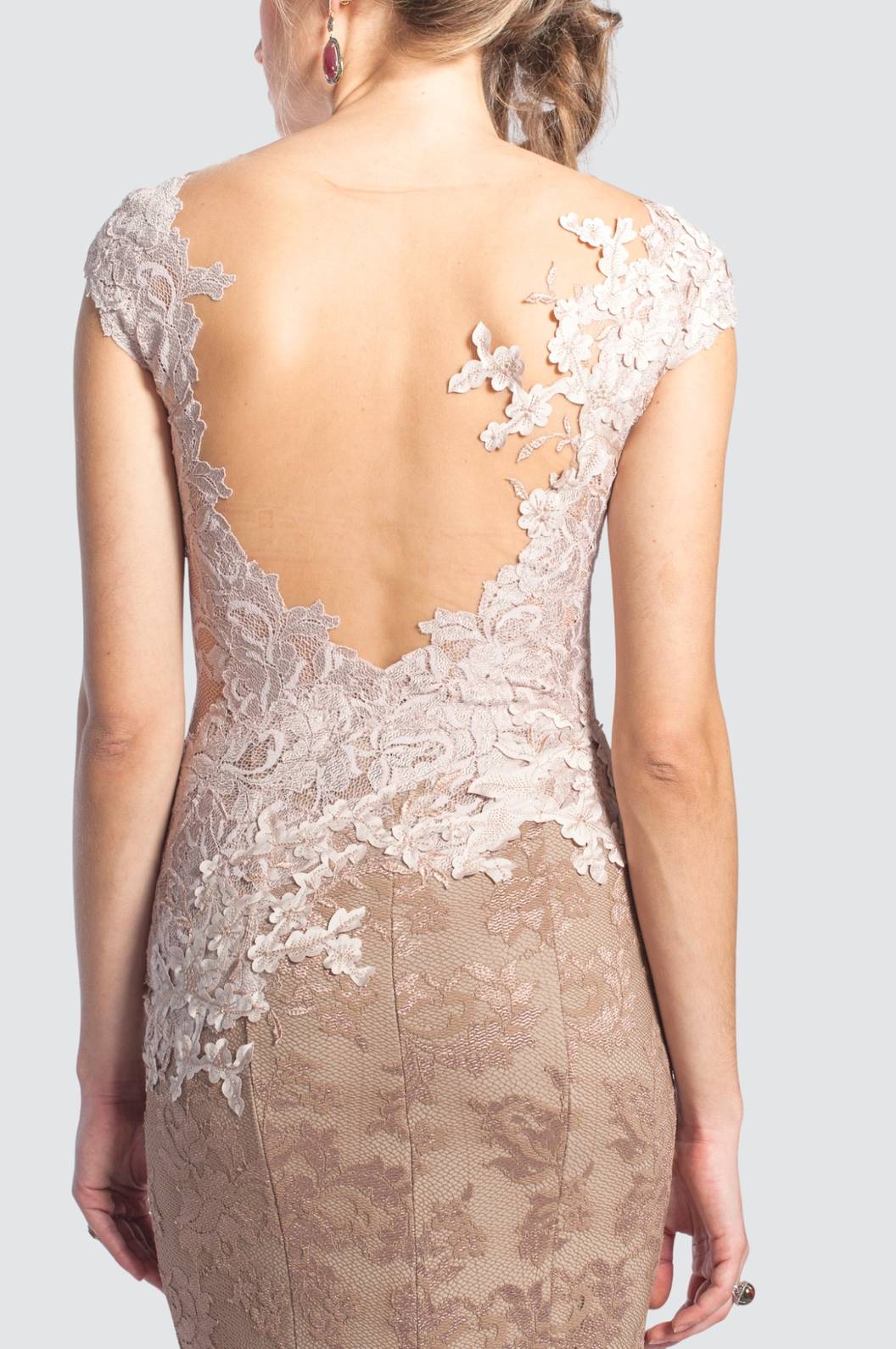 Lace Mermaid Gown with Sheer Bodice