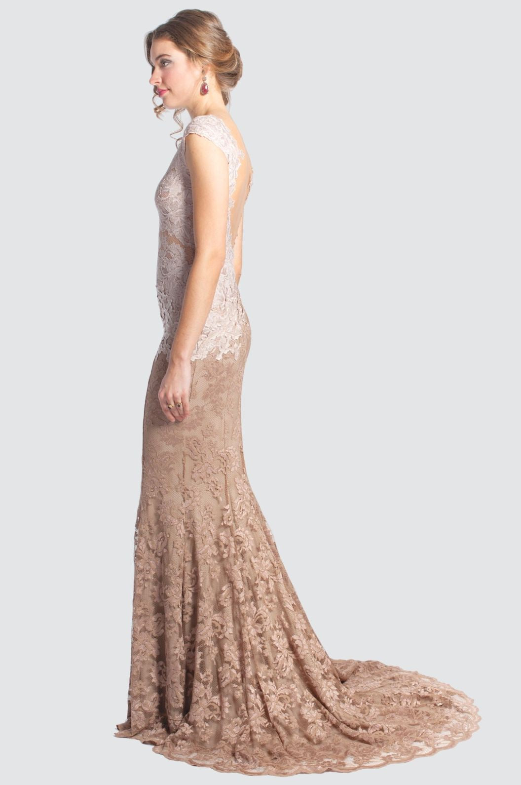 Lace Mermaid Gown with Sheer Bodice