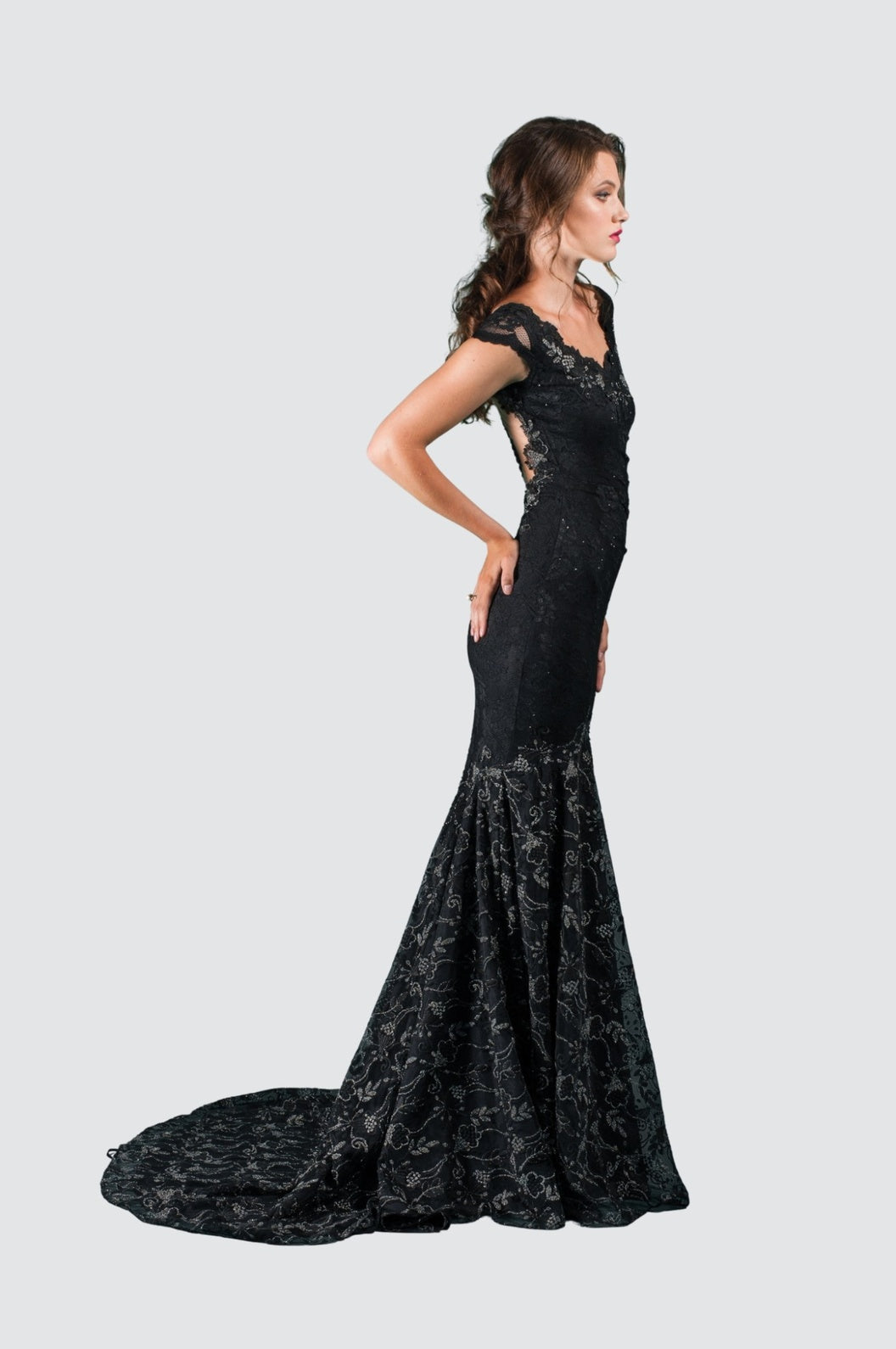 Embroidered Lace Cap Sleeve Gown