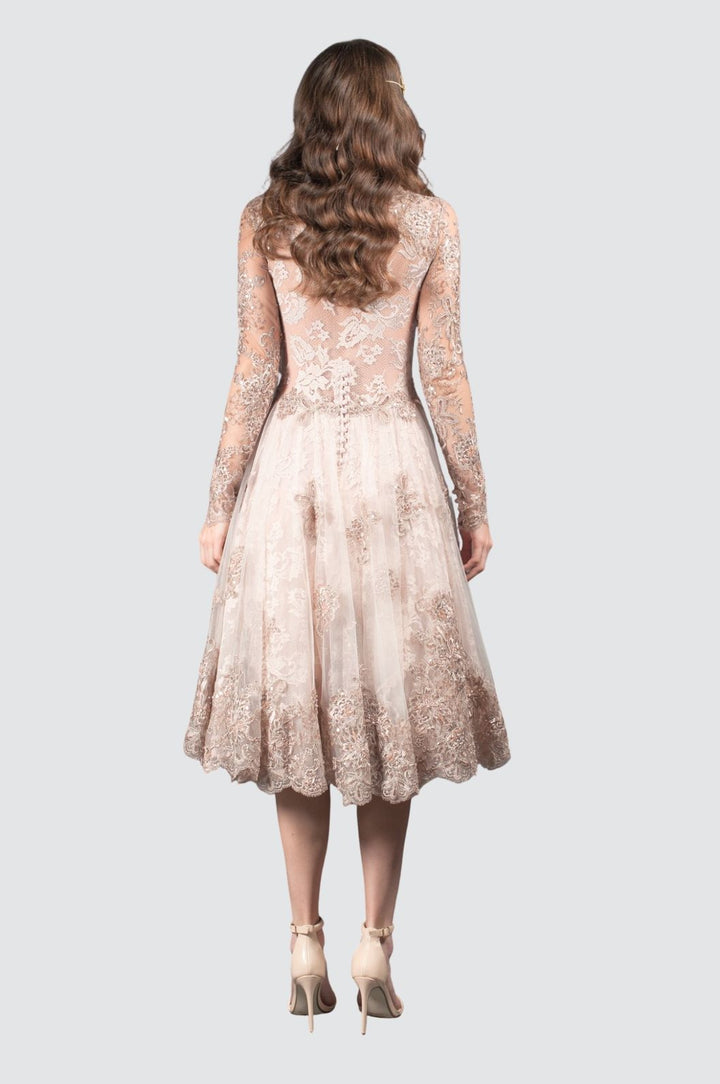 Rose Water Lace Dress