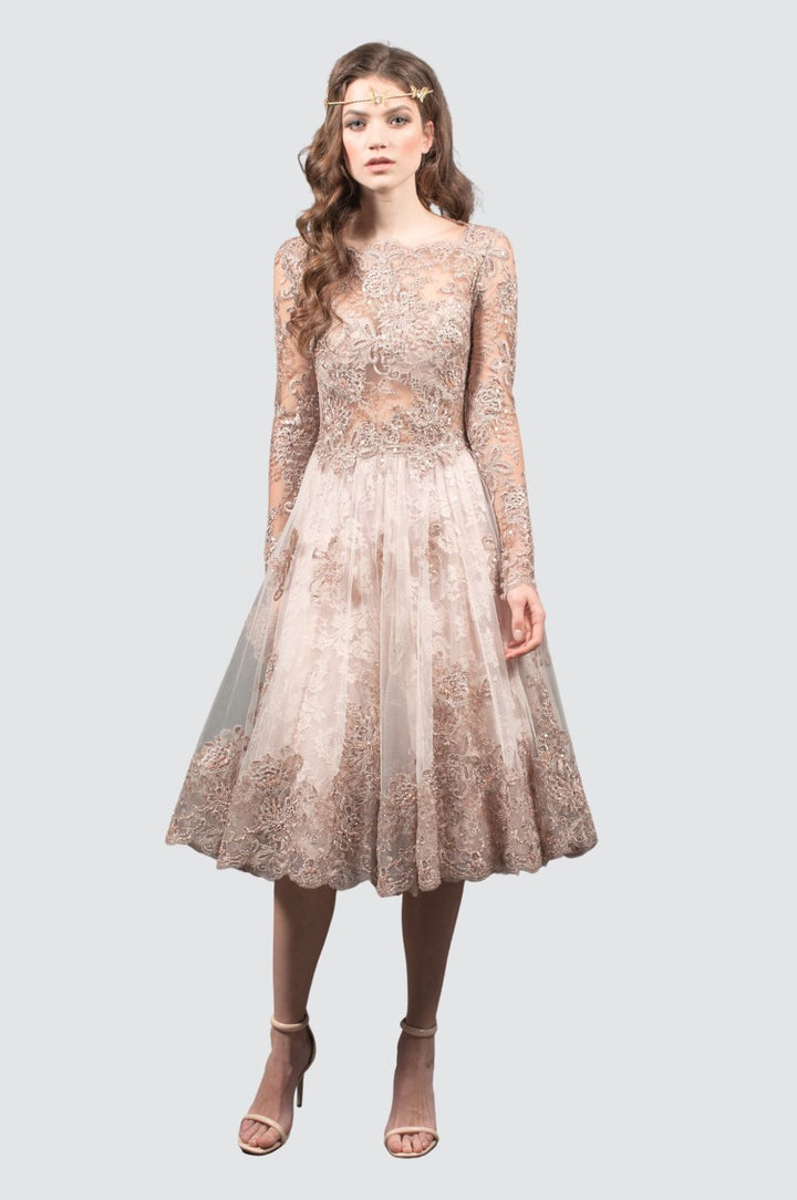 Rose Water Lace Dress