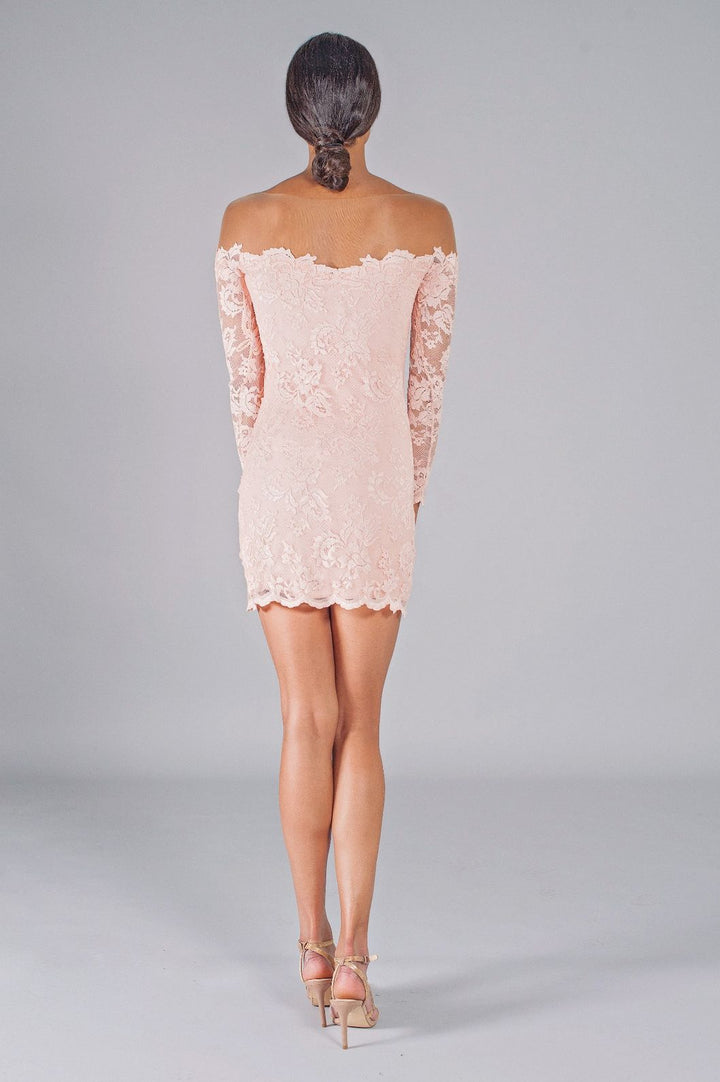 Illusion Off-shoulder Lace Tunic